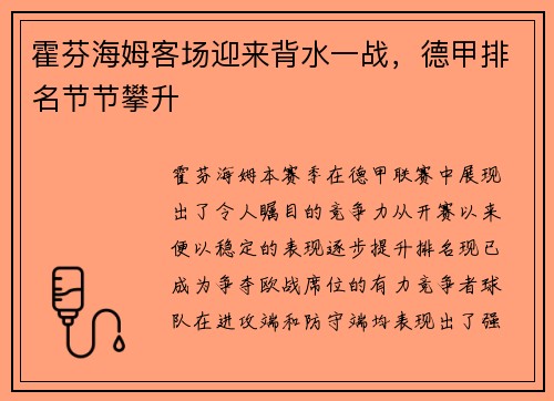 霍芬海姆客场迎来背水一战，德甲排名节节攀升